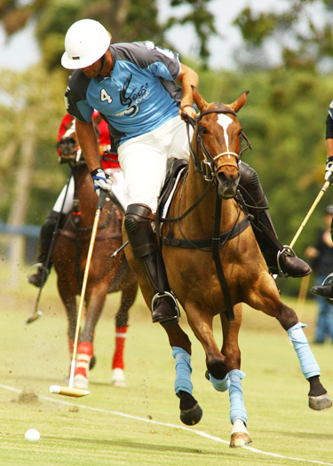 alexpachecopolo photos polo top polo tournament goose creeksanta clara poloteam 1