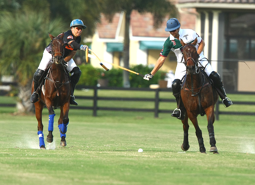 USPA National 20goalPalm Beach EquineCasablanca Photos by Alex Pacheco 5