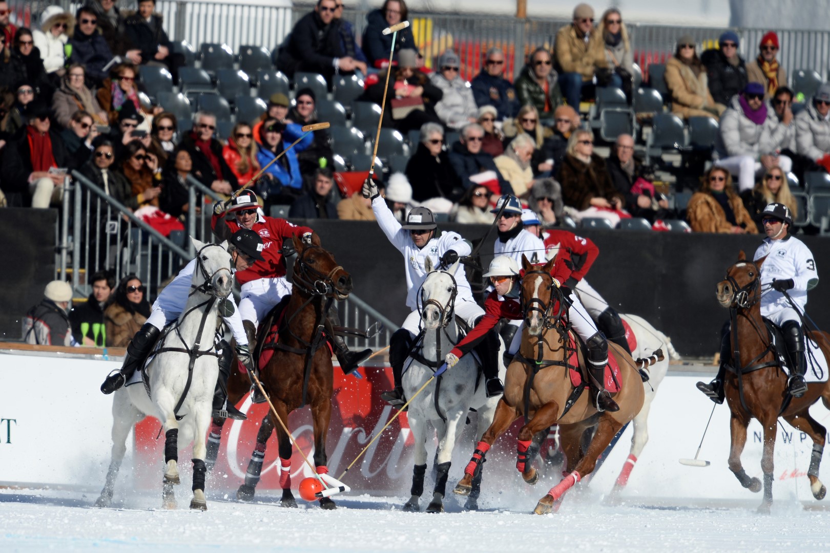 27 01 17-0221 32556151465 o