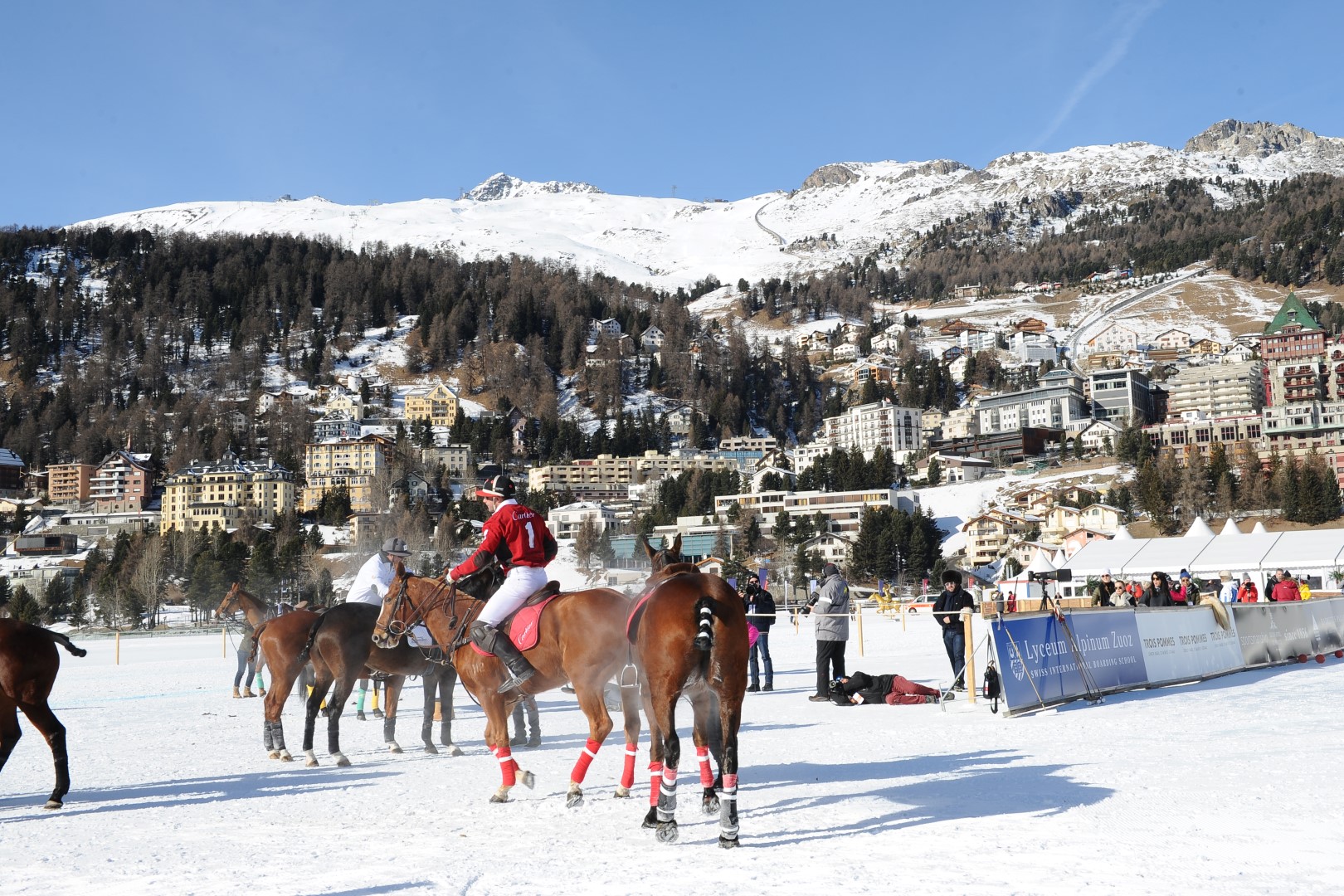 27 01 17-0276 32513840866 o