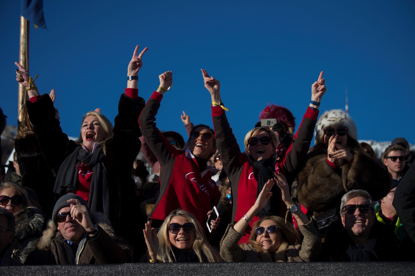 31779423043 8bdf912191 k