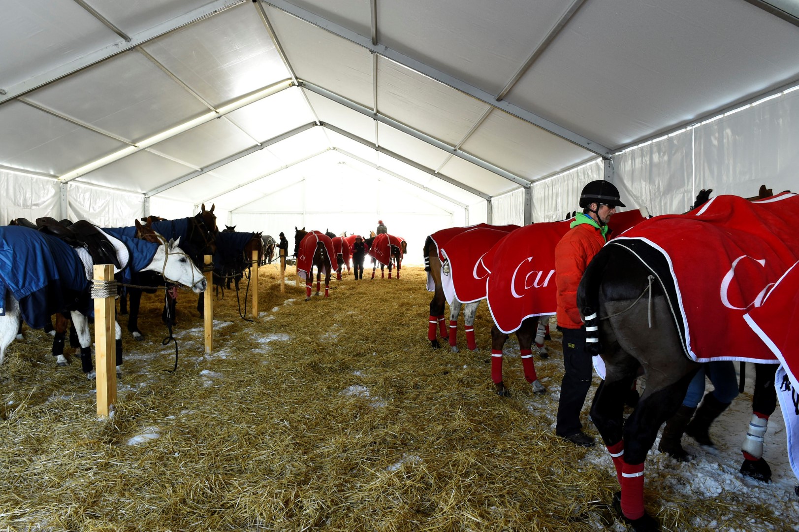 32186052710 0a5cf88f97 k