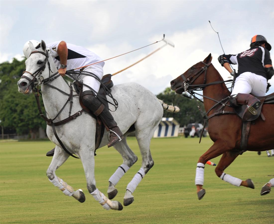 Polo in Argentina 